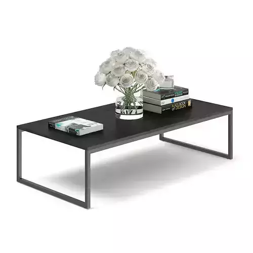 Black Coffee Table