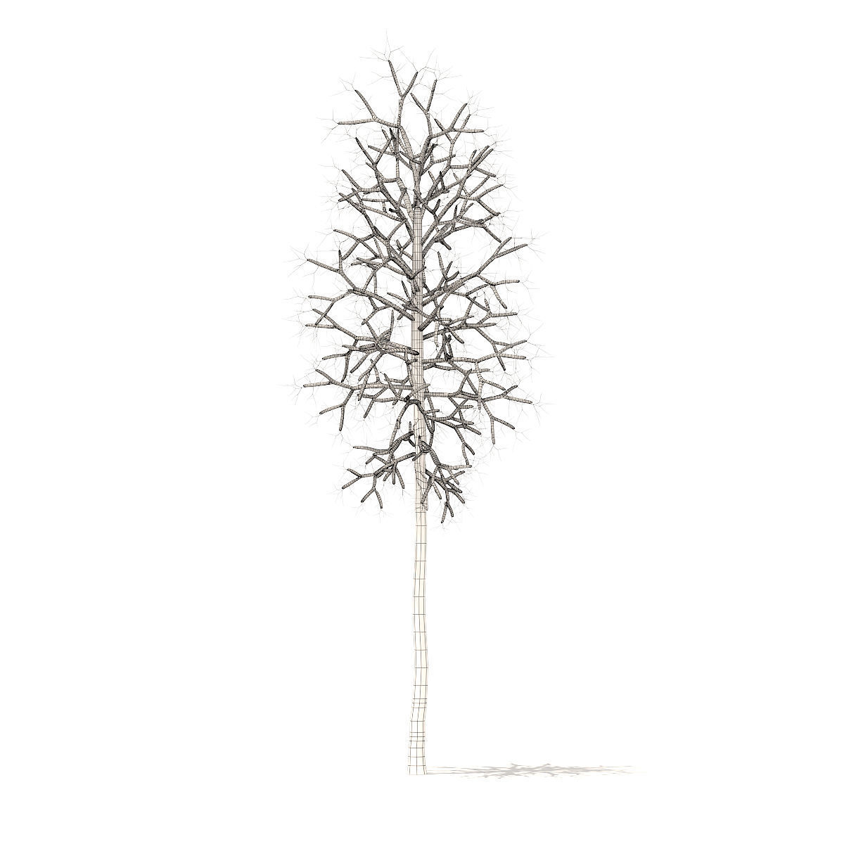 American Sweetgum with Snow 2point3m 3D model_3
