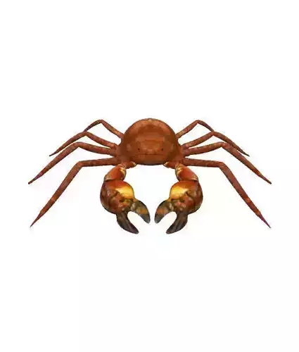 3D Crab
