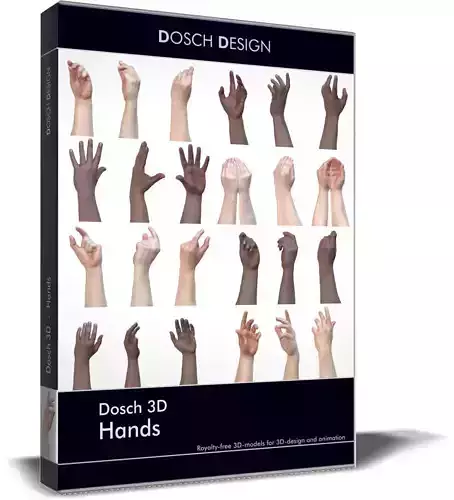Dosch 3D - Hands 3D model
