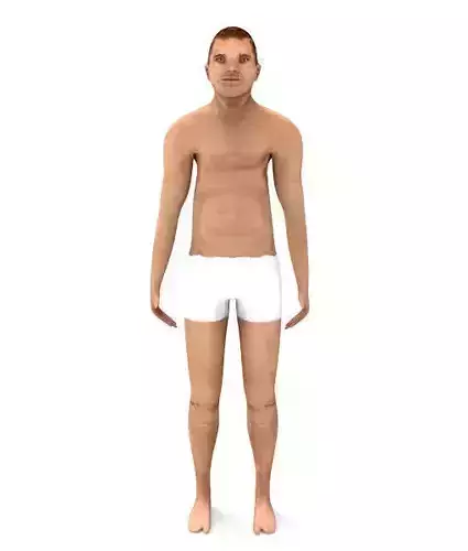 3D Generic Male Low-poly 3D model