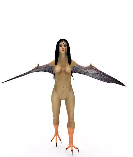 3D Harpy woman with wings Low-poly 3D model_0