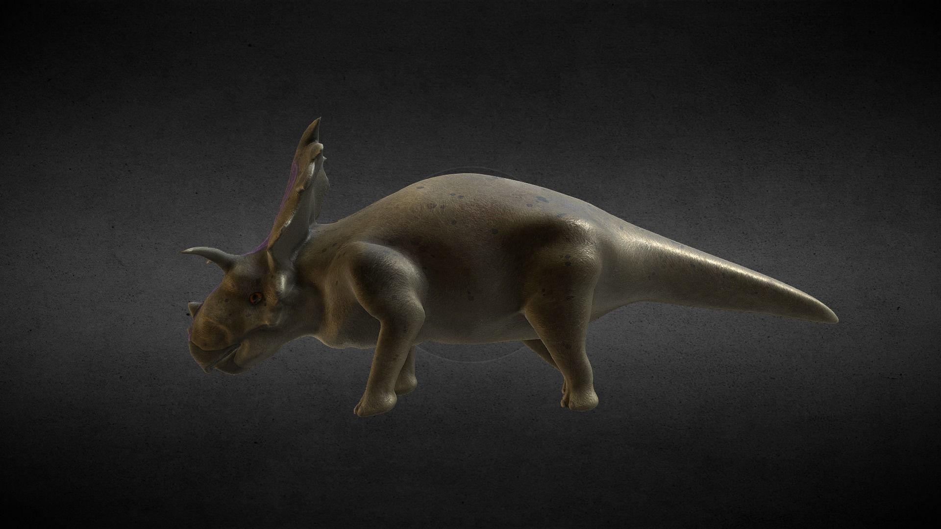Medusaceratops Jurassic Dinosaur Low-poly 3D model_3
