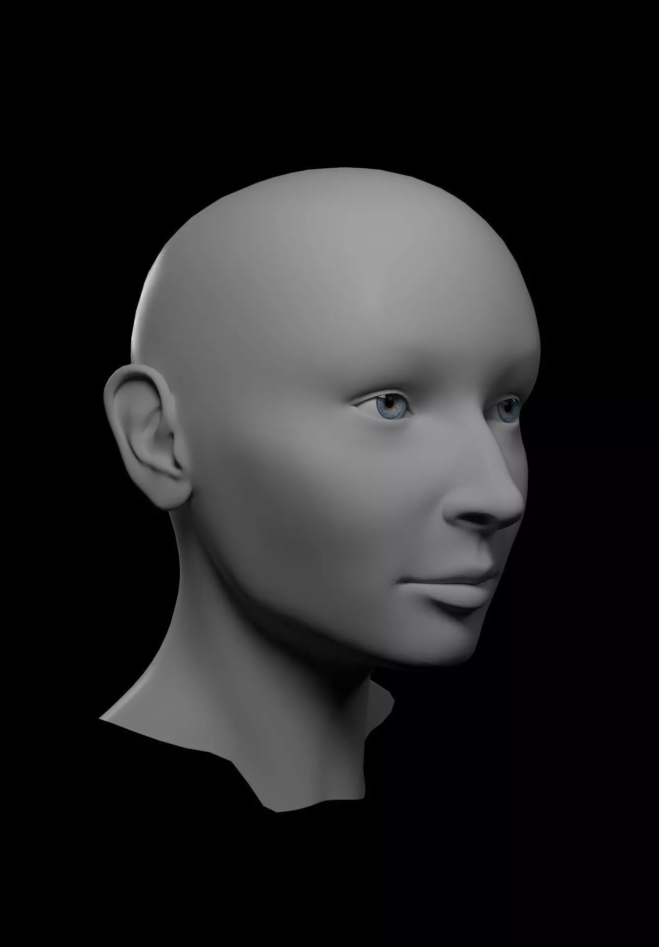 HQ Female Head Basemesh 3D model_0