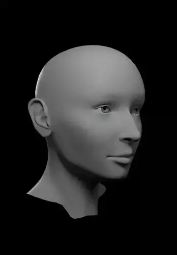 HQ Female Head Basemesh 3D model