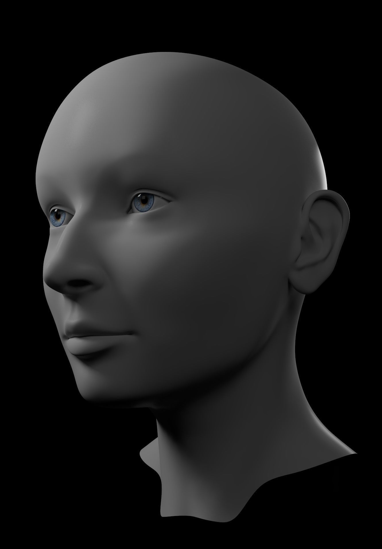 HQ Female Head Basemesh 3D model_1