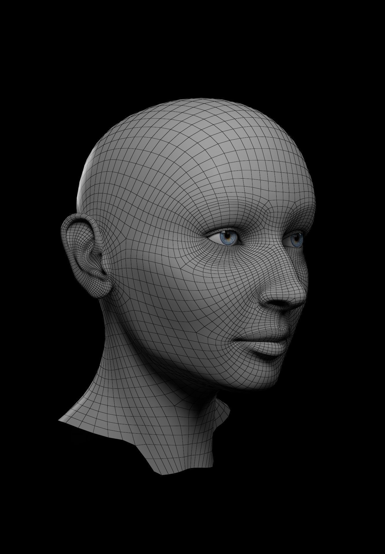 HQ Female Head Basemesh 3D model_6