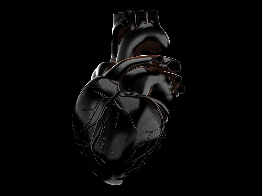 Human heart std mat 3D model_19