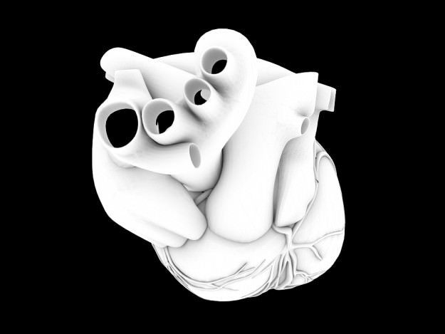 Human heart std mat 3D model_15