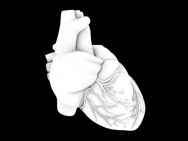 Human heart std mat 3D model_17