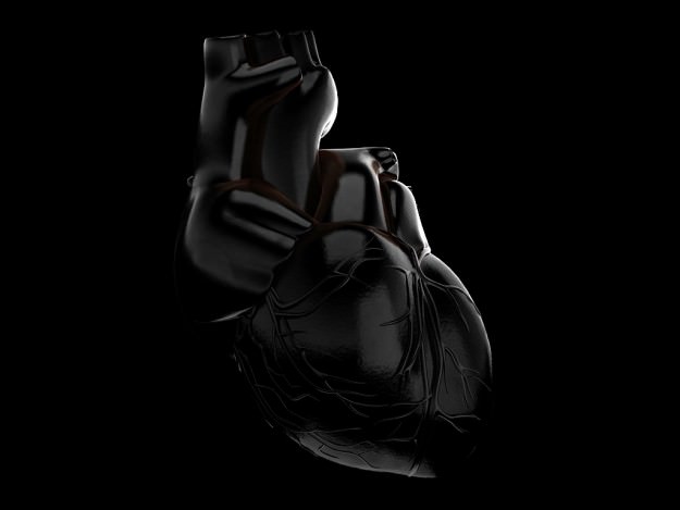 Human heart std mat 3D model_18