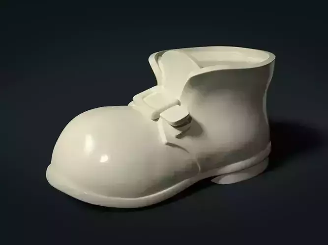 Shoe Boot 