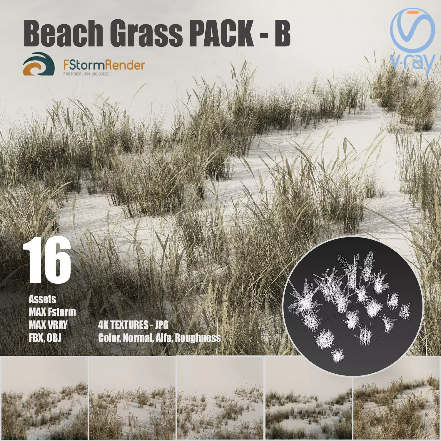 Beach grass pack B Low-poly 3D model_0