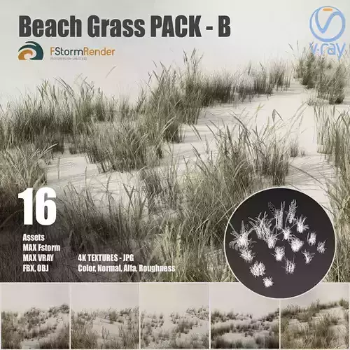 Beach grass pack B Low-poly 3D model