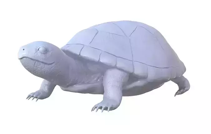 Turtle high poly model for 3D printing