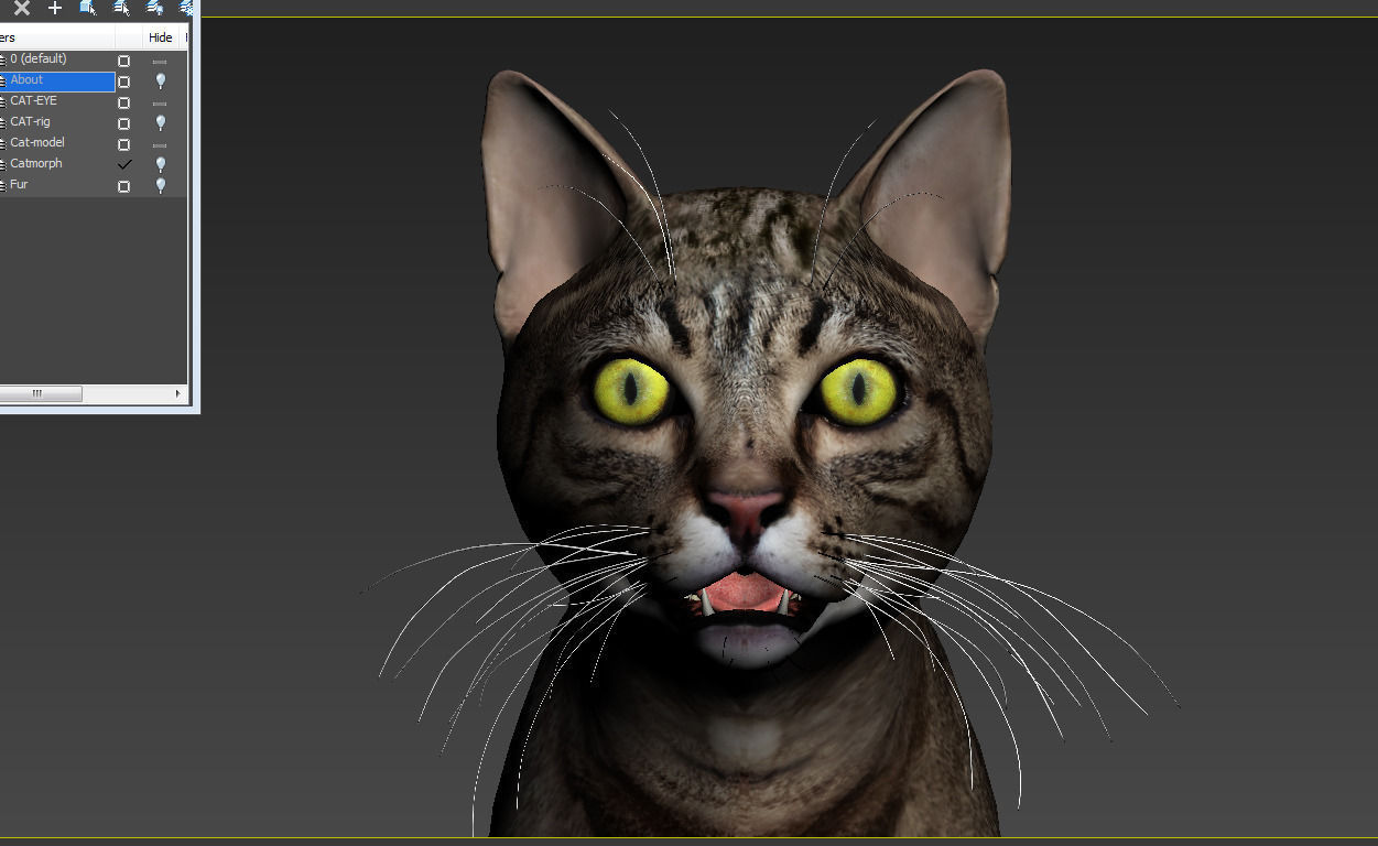 Cat-- tabby cat with eyes 3D model_2