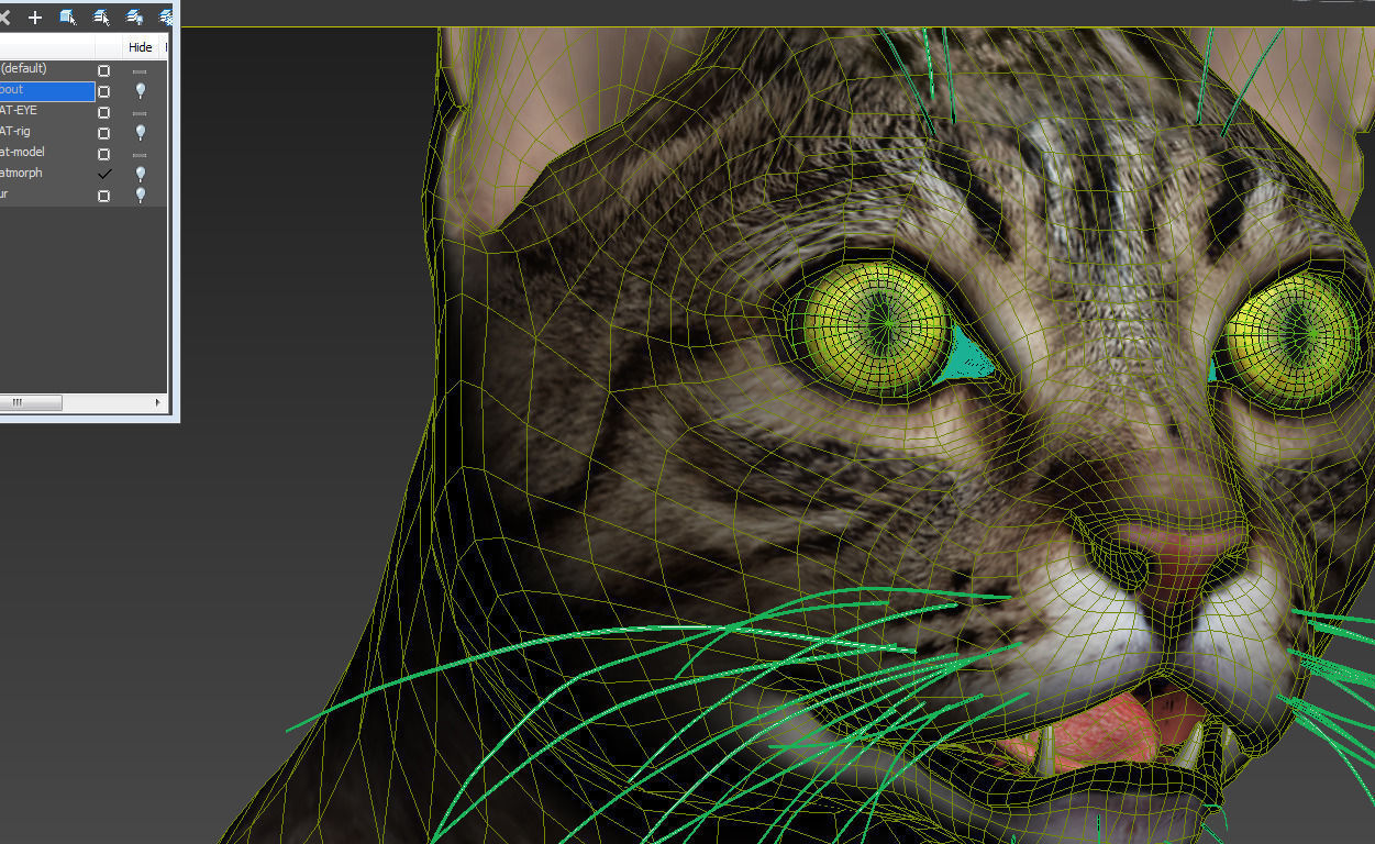 Cat-- tabby cat with eyes 3D model_6