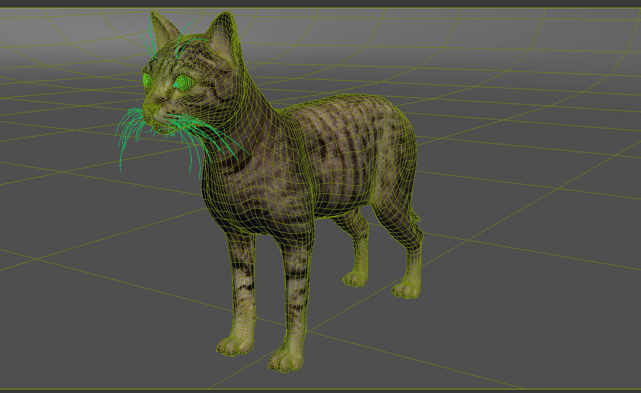 Cat-- tabby cat with eyes 3D model_5