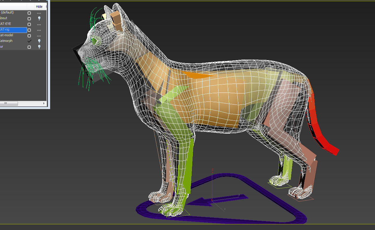 Cat-- tabby cat with eyes 3D model_4