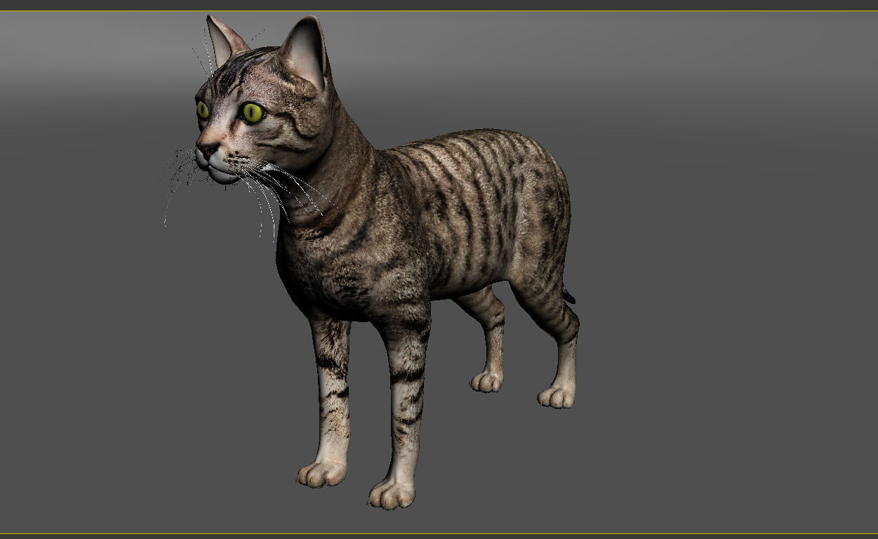 Cat-- tabby cat with eyes 3D model_1
