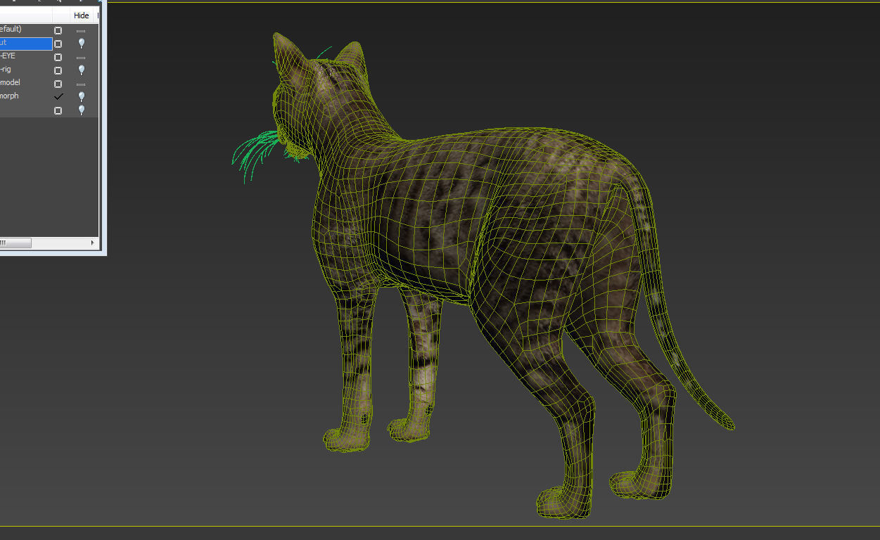 Cat-- tabby cat with eyes 3D model_3