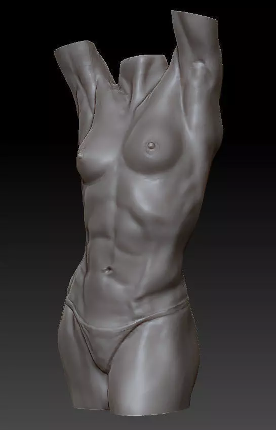 Female anatomy figure study 3D model_0