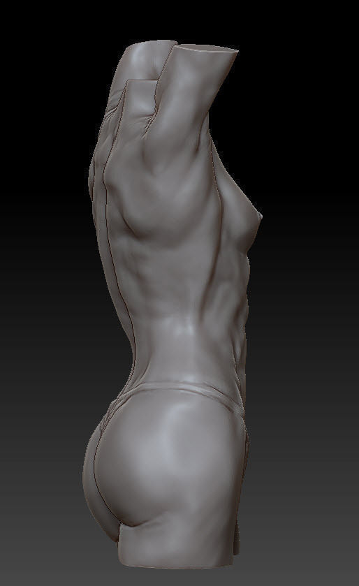 Female anatomy figure study 3D model_1