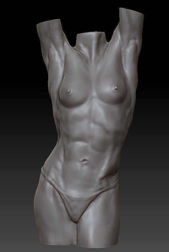 Female anatomy figure study 3D model_2
