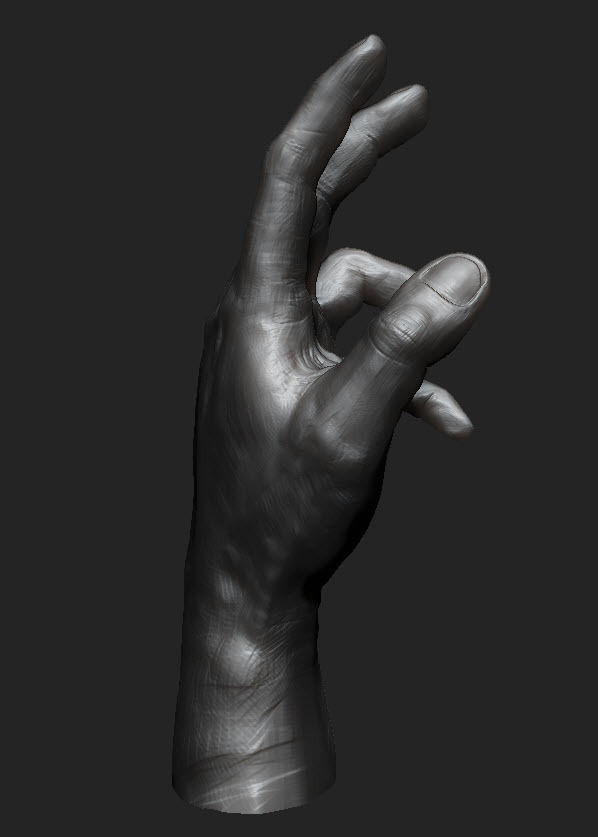 Hand study 3D model_3