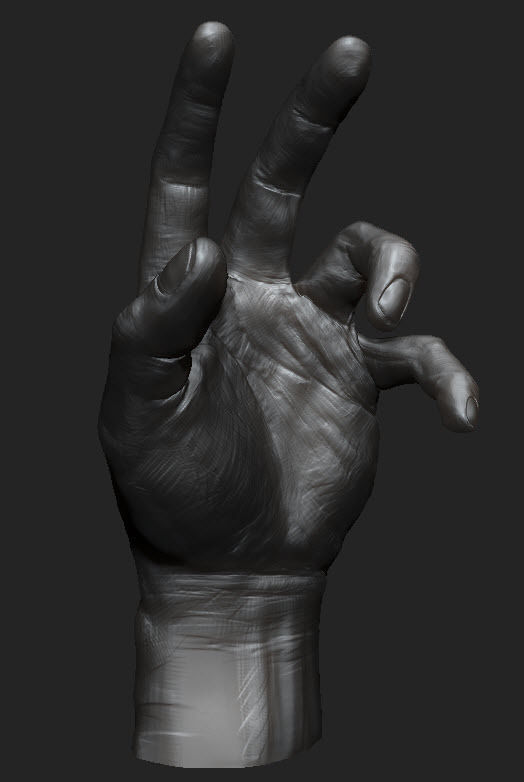 Hand study 3D model_4