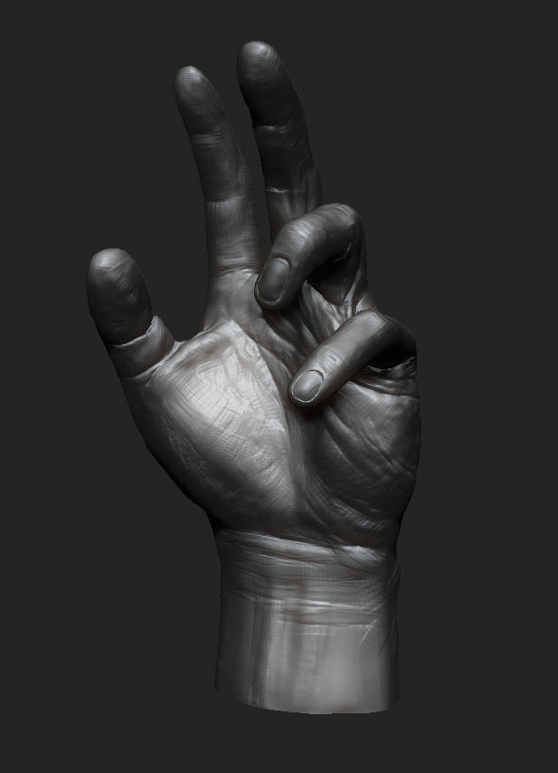 Hand study 3D model_2