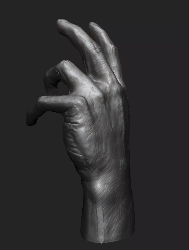 Hand study 3D model_0