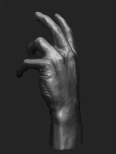 Hand study 3D model