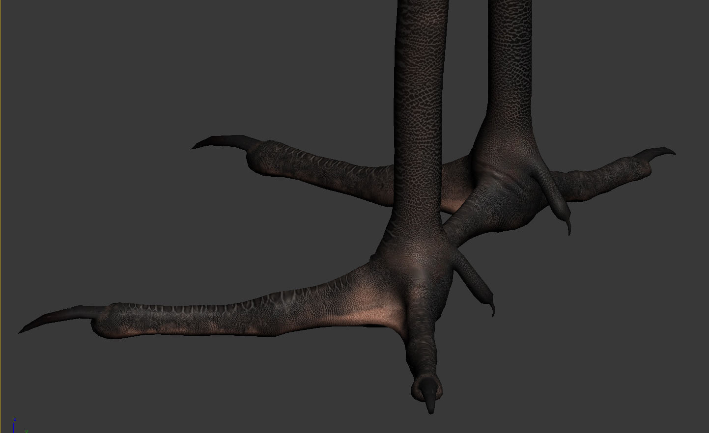 Crane Bird 3D model_8