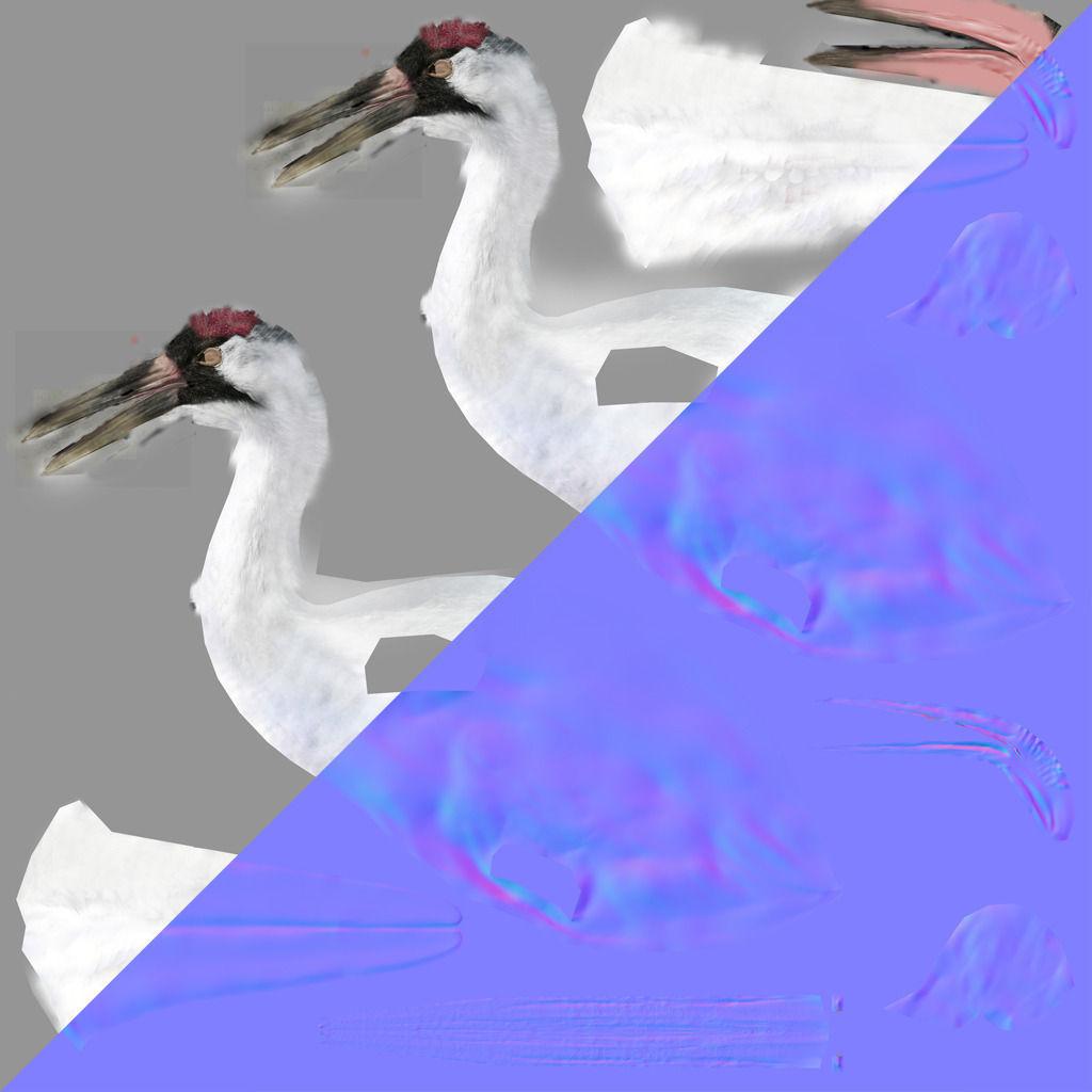 Crane Bird 3D model_5