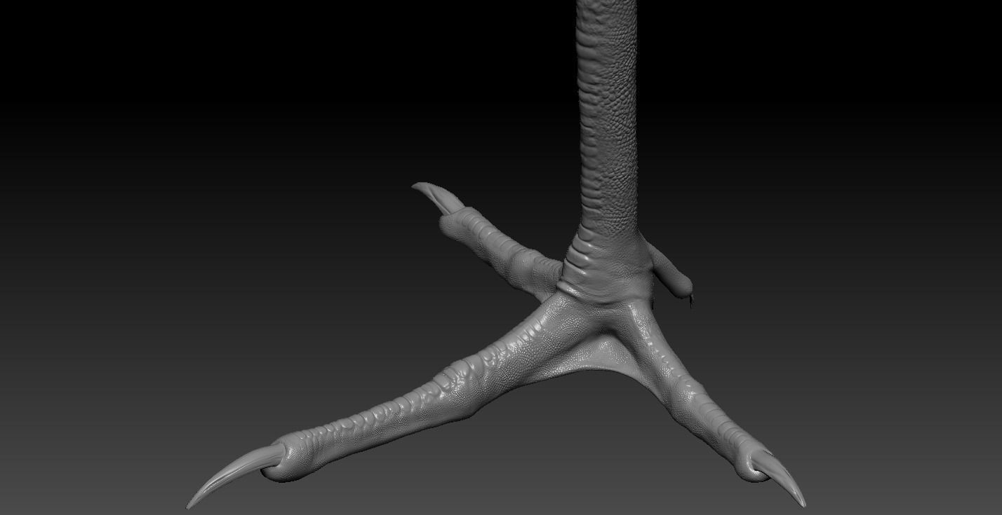 Crane Bird 3D model_4