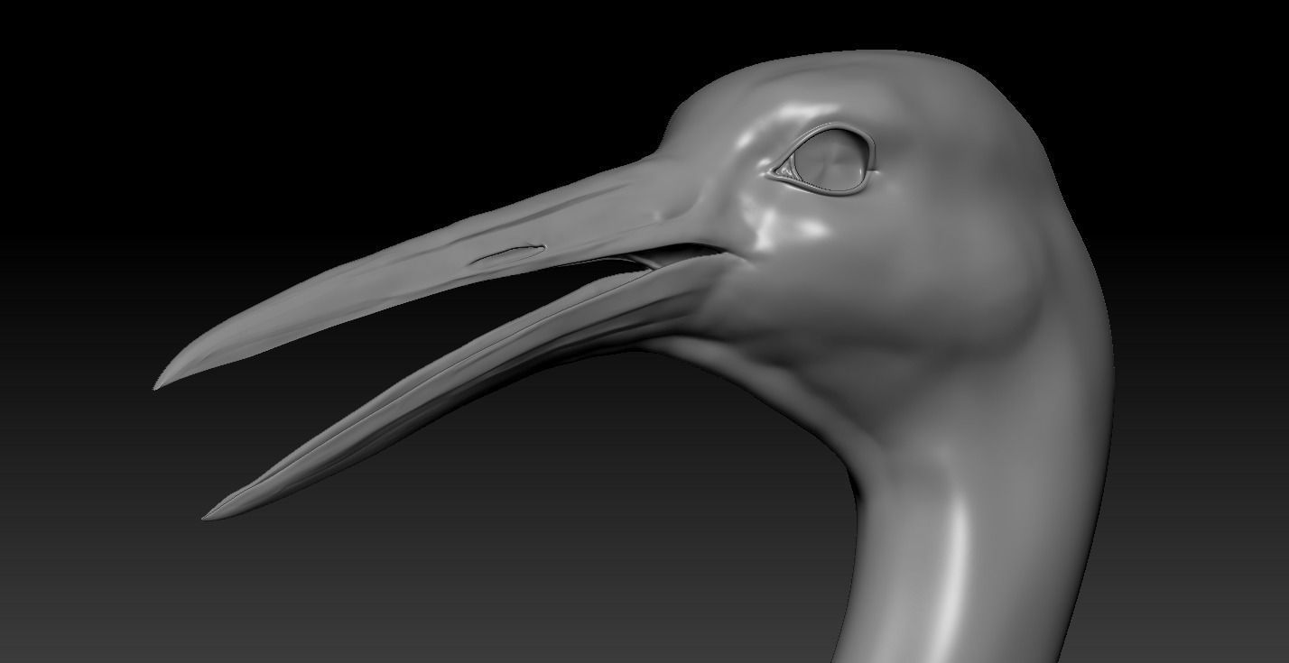 Crane Bird 3D model_2