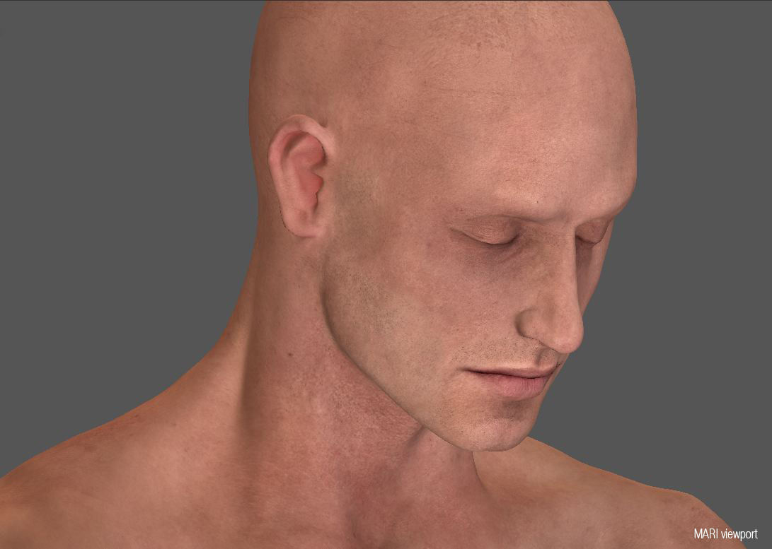 Hyper realistic Human Male Ballet Dancer Stretching 3D model_7