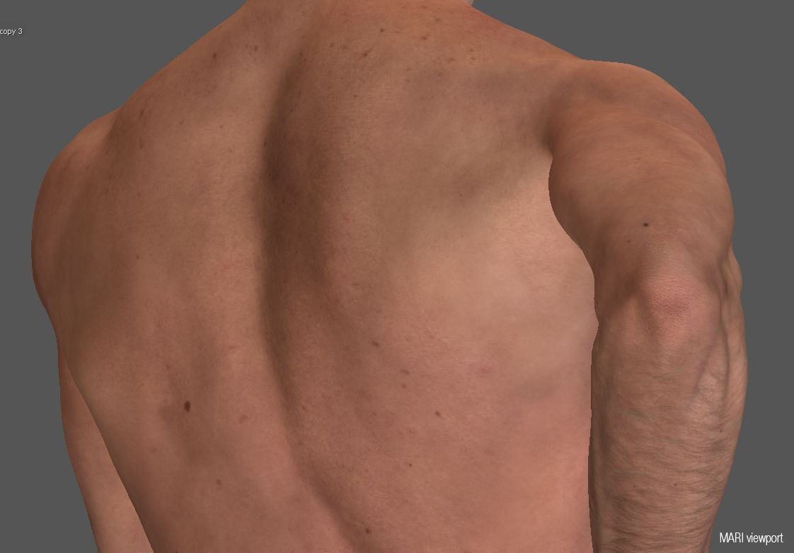 Hyper realistic Human Male Ballet Dancer Stretching 3D model_10