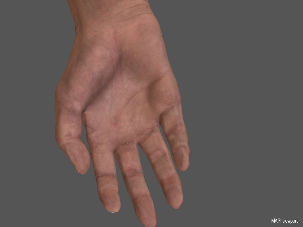 Hyper realistic Human Male Ballet Dancer Stretching 3D model_8