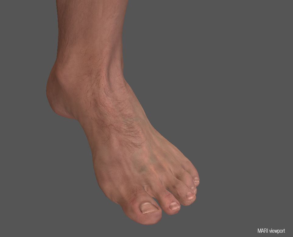 Hyper realistic Human Male Ballet Dancer Stretching 3D model_5