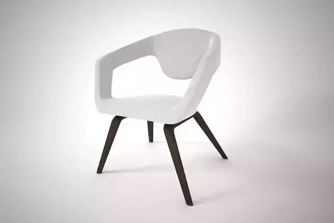 13 ZIUNER DINNING CHAIR
