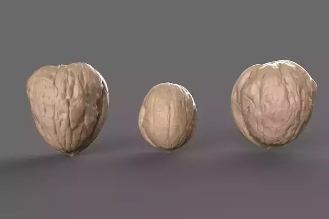 Walnuts 3D Scan 3D model
