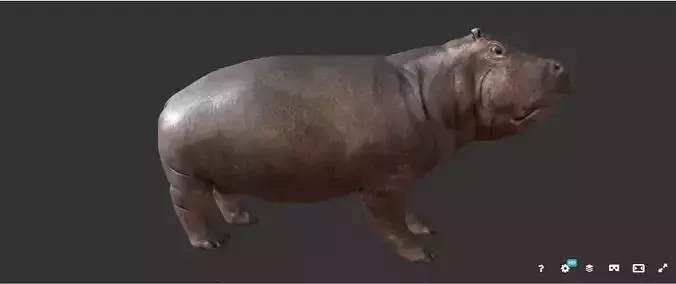 hippopotame hippopotamus Low-poly 3D model