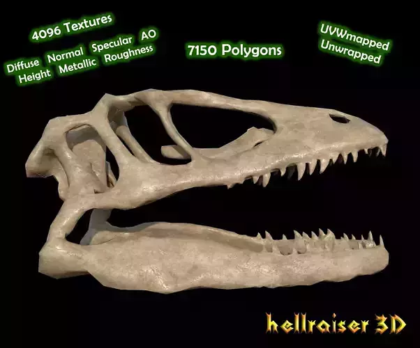 Animal Skull - PBR - Textured