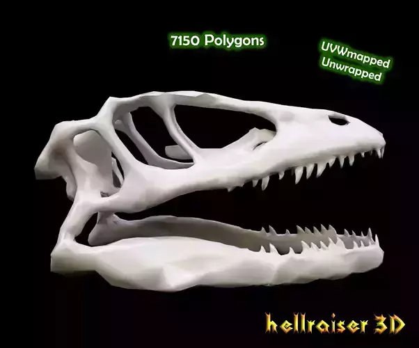 Animal Skull Low-poly 3D model