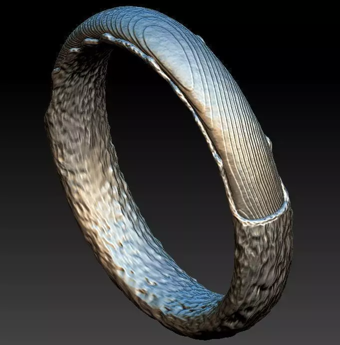 branch ring1 3D print model_0