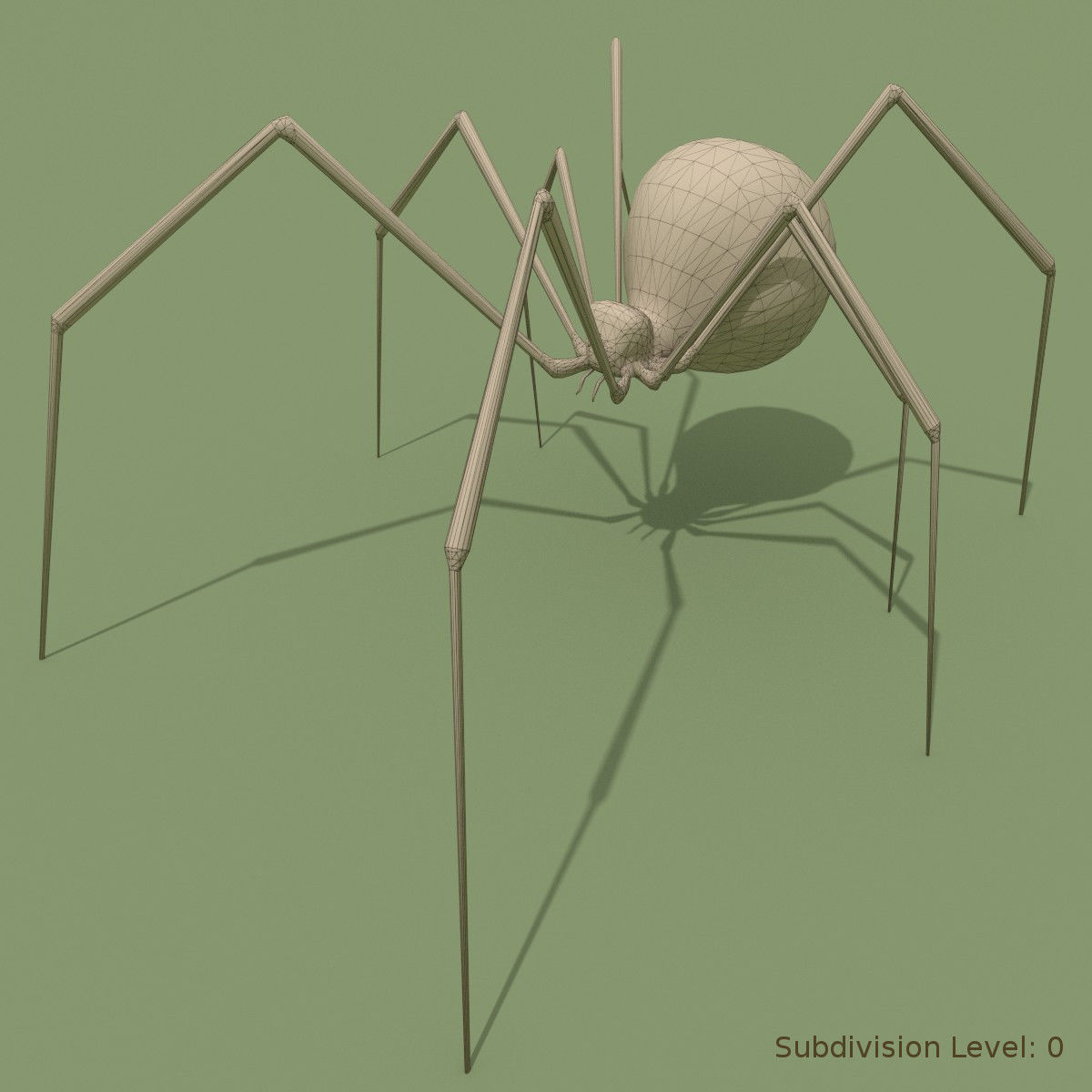 Black Widow Spider 3D model_4