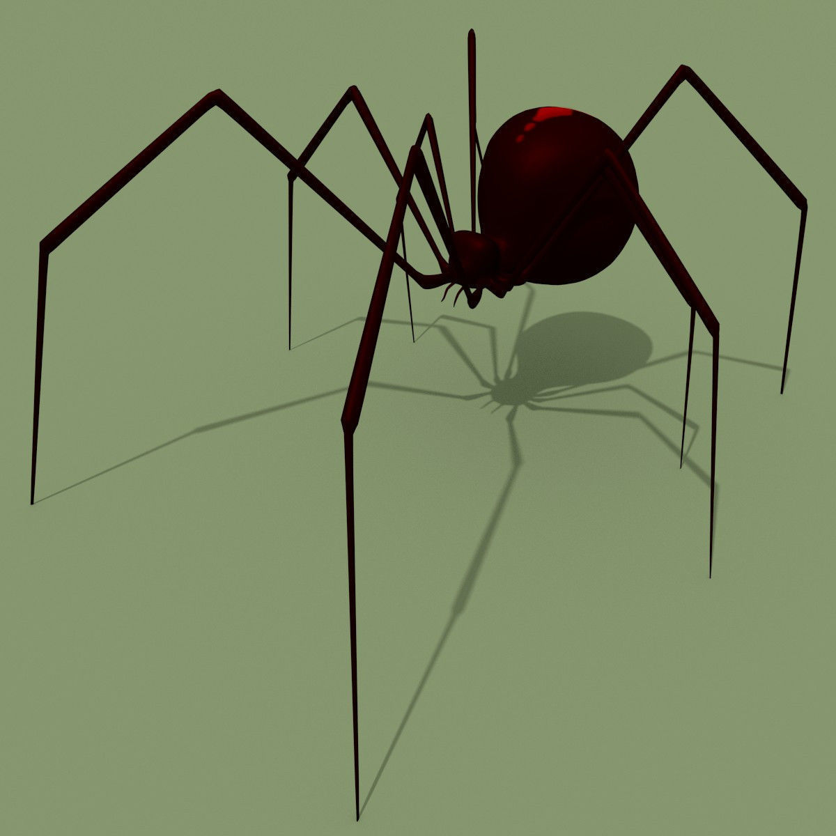 Black Widow Spider 3D model_3