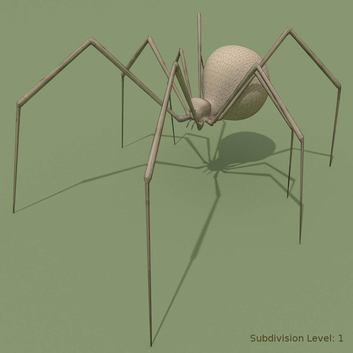 Black Widow Spider 3D model_5